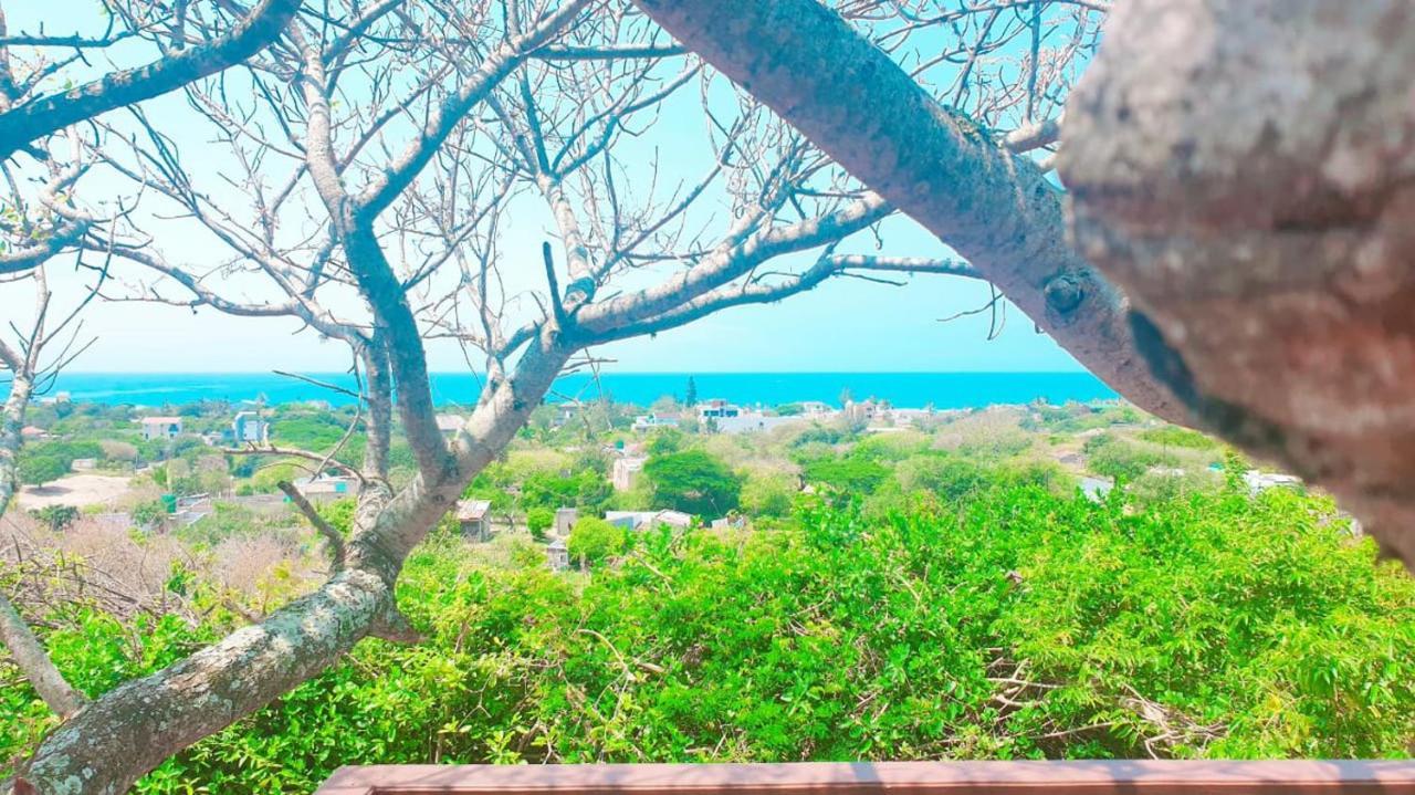 Mozbevok Coconut View Resort 蓬塔杜欧鲁 外观 照片