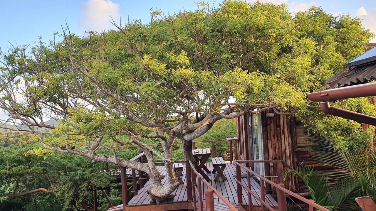 Mozbevok Coconut View Resort 蓬塔杜欧鲁 外观 照片