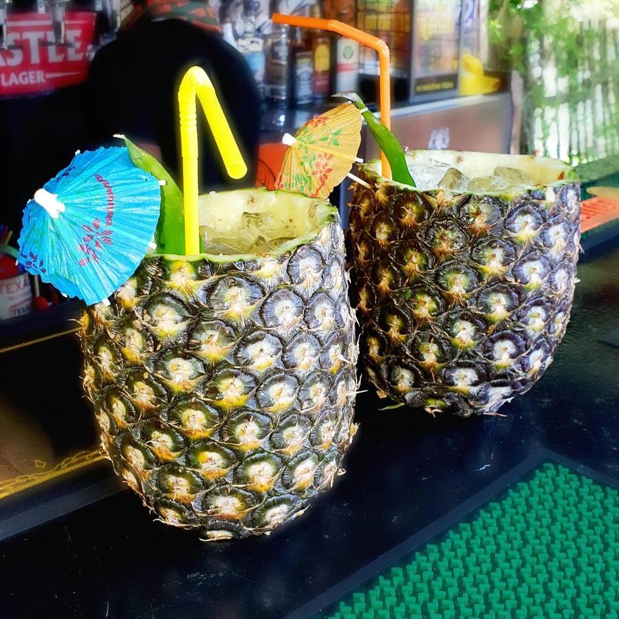 Mozbevok Coconut View Resort 蓬塔杜欧鲁 外观 照片