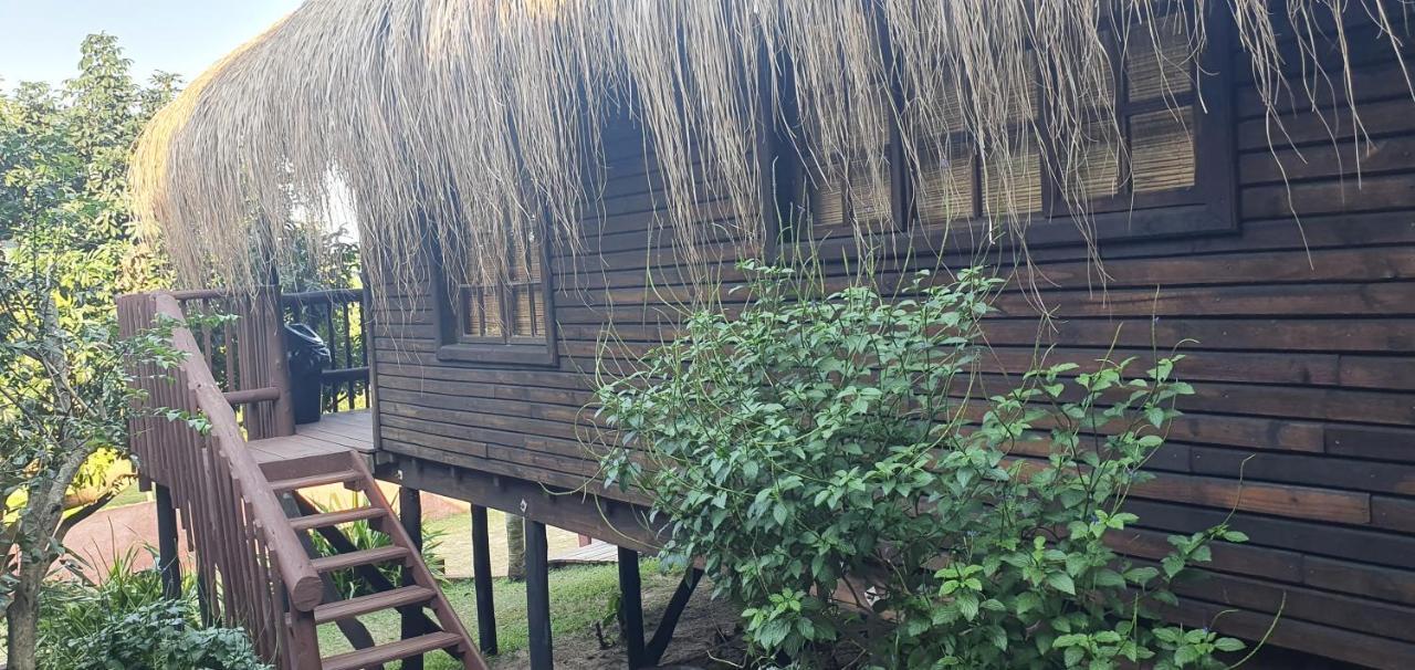 Mozbevok Coconut View Resort 蓬塔杜欧鲁 外观 照片