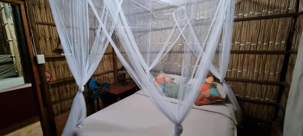 Mozbevok Coconut View Resort 蓬塔杜欧鲁 外观 照片