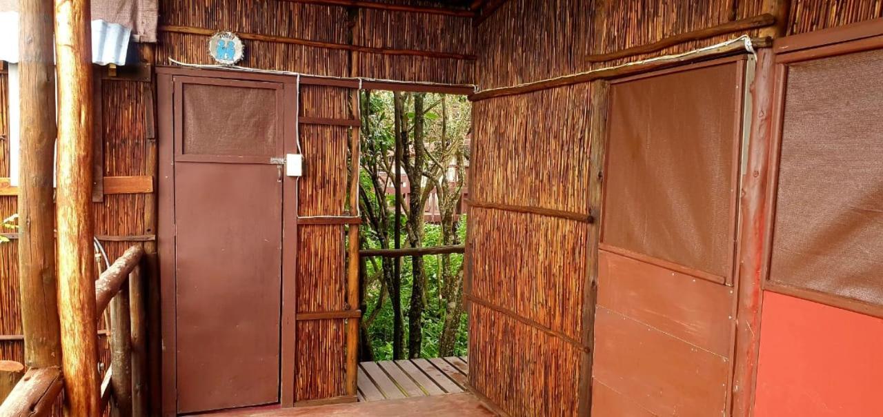 Mozbevok Coconut View Resort 蓬塔杜欧鲁 外观 照片