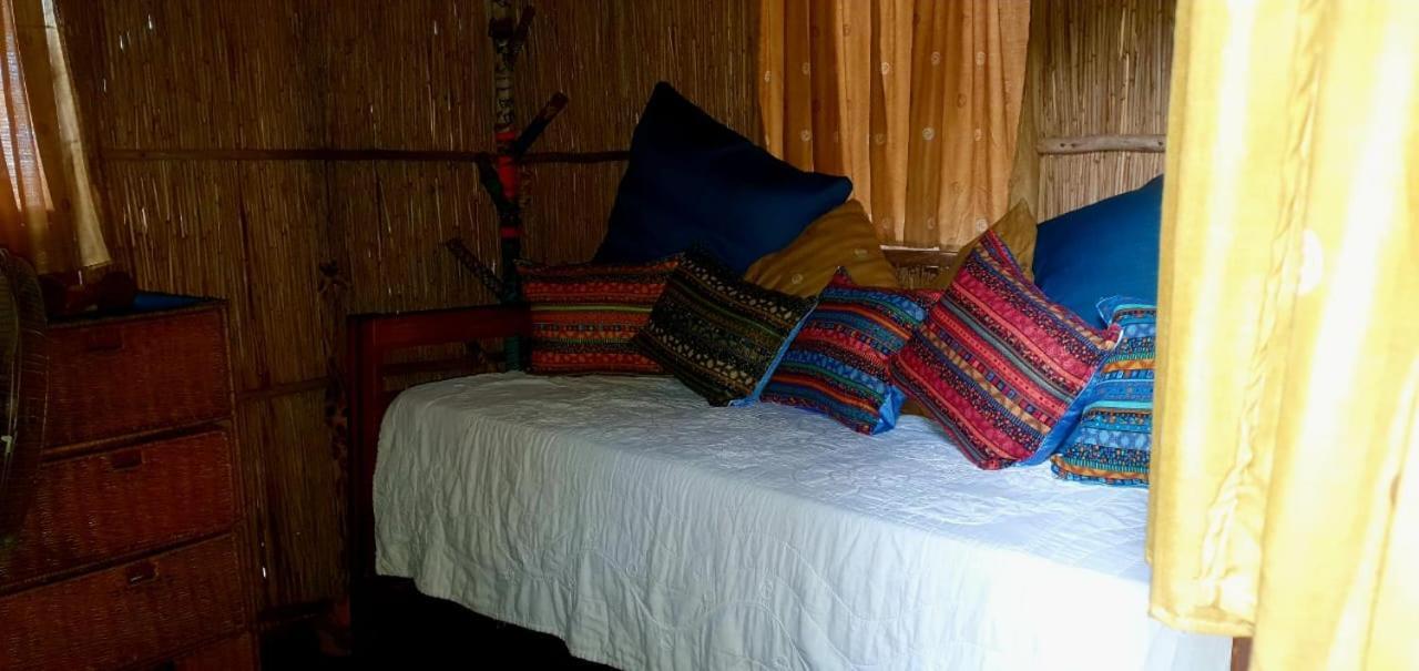 Mozbevok Coconut View Resort 蓬塔杜欧鲁 外观 照片