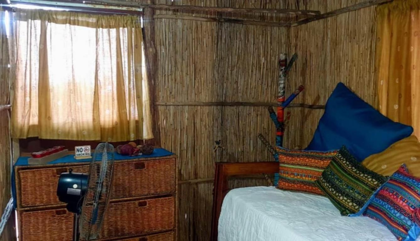 Mozbevok Coconut View Resort 蓬塔杜欧鲁 外观 照片